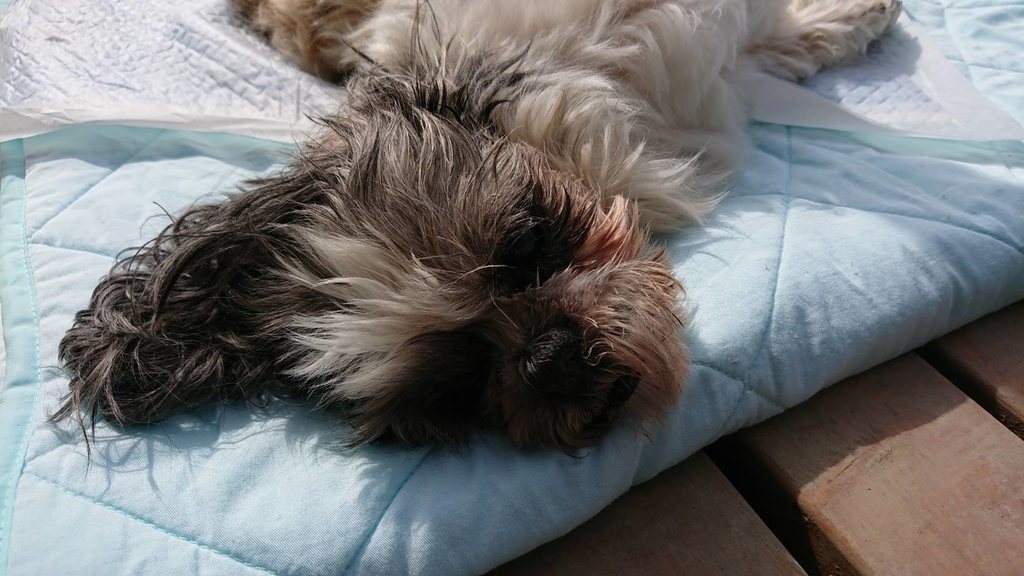 f:id:roukenhome-ann:20190224202002j:plain