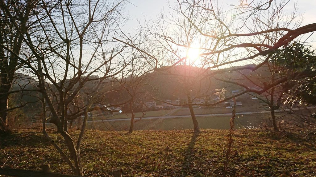 f:id:roukenhome-ann:20190224202038j:plain