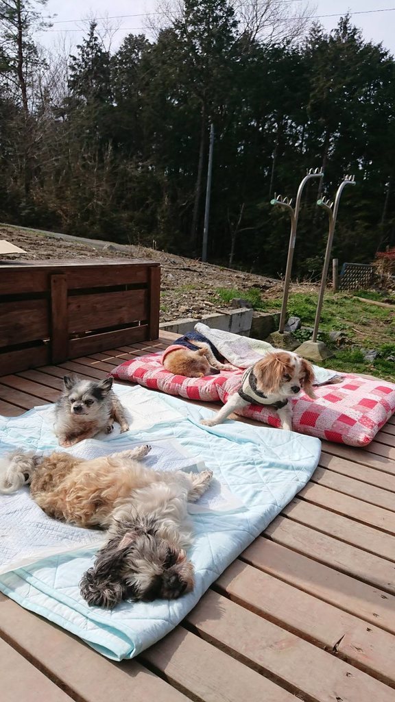 f:id:roukenhome-ann:20190224202307j:plain
