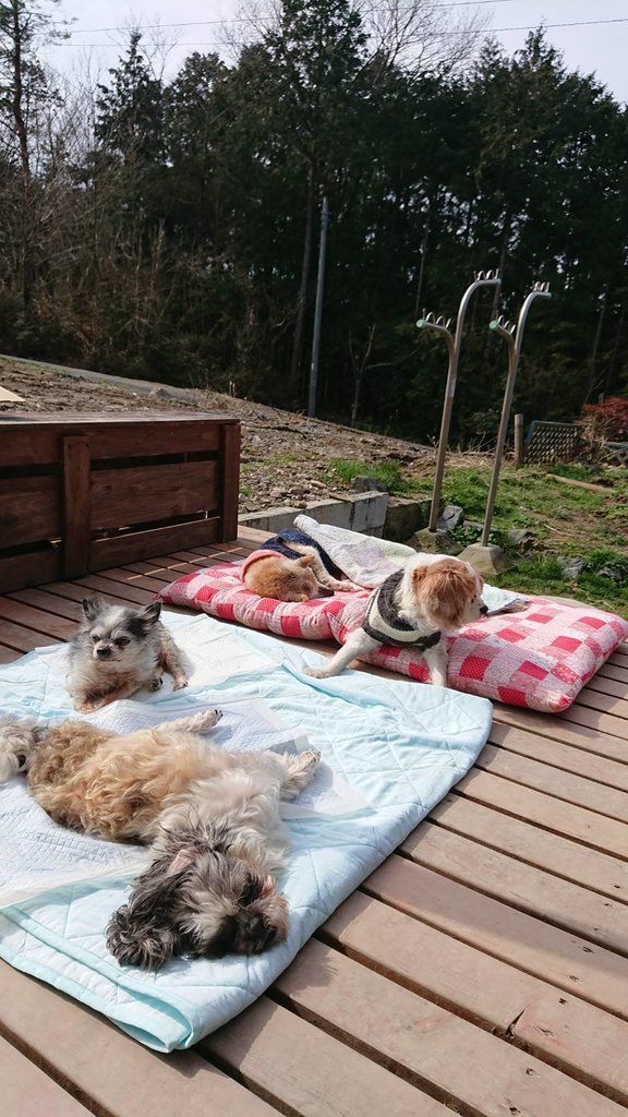 f:id:roukenhome-ann:20190224202332j:plain