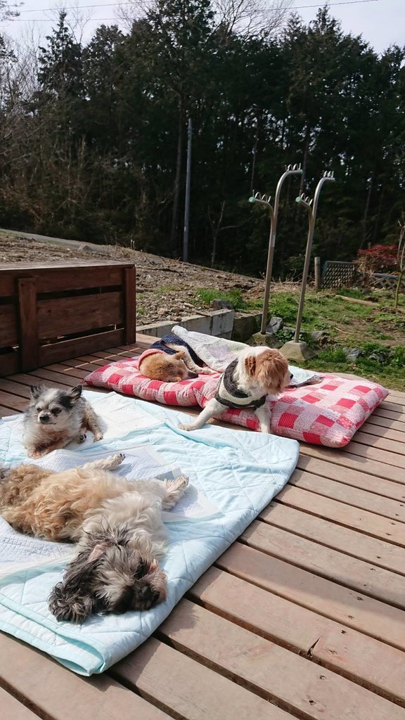 f:id:roukenhome-ann:20190224202342j:plain