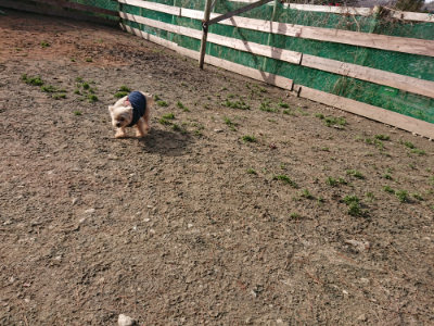 f:id:roukenhome-ann:20190225073144j:plain