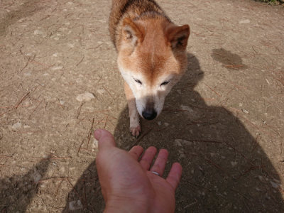 f:id:roukenhome-ann:20190225073204j:plain