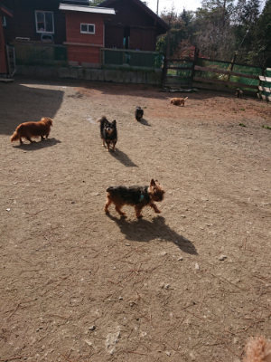 f:id:roukenhome-ann:20190225073252j:plain