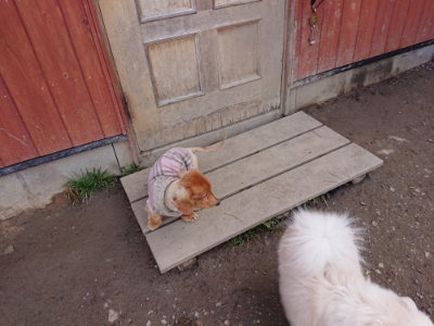f:id:roukenhome-ann:20190225073258j:plain