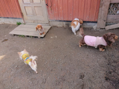 f:id:roukenhome-ann:20190225073324j:plain