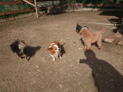 f:id:roukenhome-ann:20190225073337j:plain