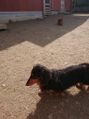 f:id:roukenhome-ann:20190225073406j:plain