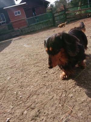f:id:roukenhome-ann:20190225073437j:plain