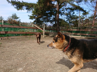 f:id:roukenhome-ann:20190225073444j:plain