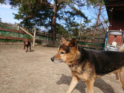 f:id:roukenhome-ann:20190225073509j:plain