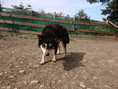 f:id:roukenhome-ann:20190225073533j:plain