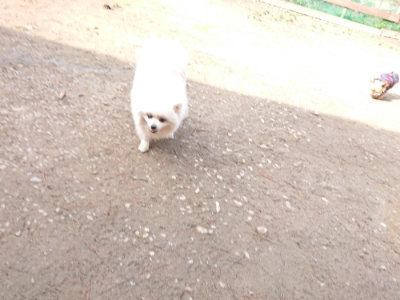 f:id:roukenhome-ann:20190225113947j:plain