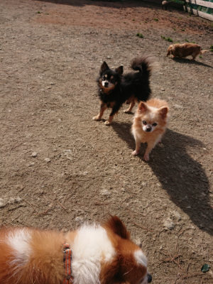 f:id:roukenhome-ann:20190225114002j:plain