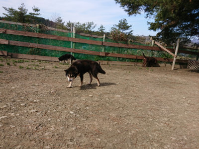 f:id:roukenhome-ann:20190225114009j:plain