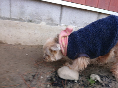f:id:roukenhome-ann:20190225114030j:plain