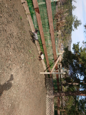 f:id:roukenhome-ann:20190225114036j:plain