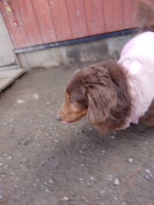 f:id:roukenhome-ann:20190225114057j:plain