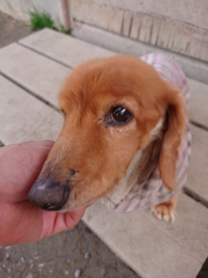 f:id:roukenhome-ann:20190225114114j:plain