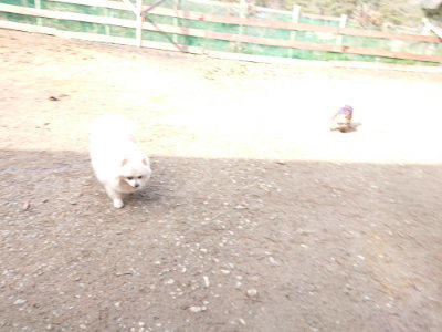f:id:roukenhome-ann:20190225114129j:plain
