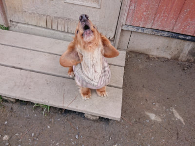 f:id:roukenhome-ann:20190225125545j:plain