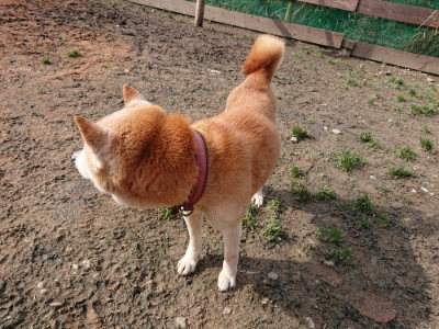 f:id:roukenhome-ann:20190225125650j:plain