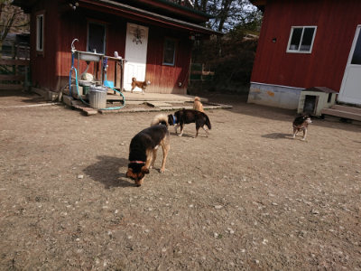f:id:roukenhome-ann:20190225134327j:plain