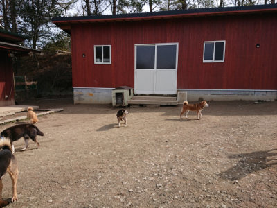 f:id:roukenhome-ann:20190225134332j:plain