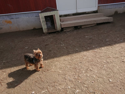 f:id:roukenhome-ann:20190225134541j:plain