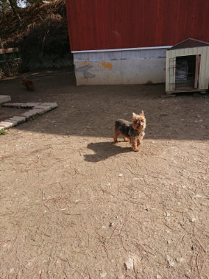 f:id:roukenhome-ann:20190225134623j:plain