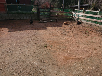 f:id:roukenhome-ann:20190225134629j:plain