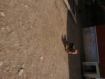 f:id:roukenhome-ann:20190225134641j:plain
