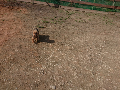 f:id:roukenhome-ann:20190225134647j:plain