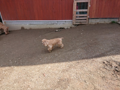 f:id:roukenhome-ann:20190225134708j:plain