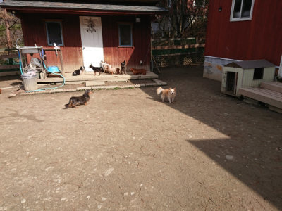 f:id:roukenhome-ann:20190225134713j:plain