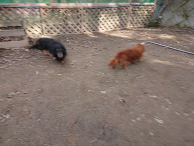 f:id:roukenhome-ann:20190225134724j:plain