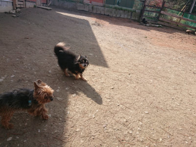 f:id:roukenhome-ann:20190225134742j:plain