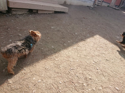 f:id:roukenhome-ann:20190225134806j:plain