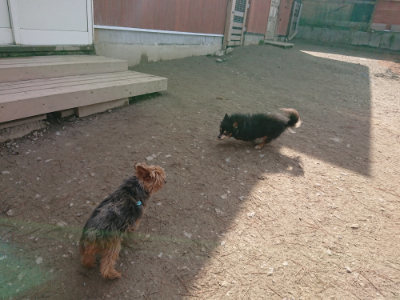 f:id:roukenhome-ann:20190225134811j:plain