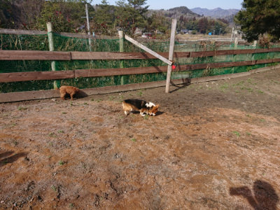 f:id:roukenhome-ann:20190225134822j:plain