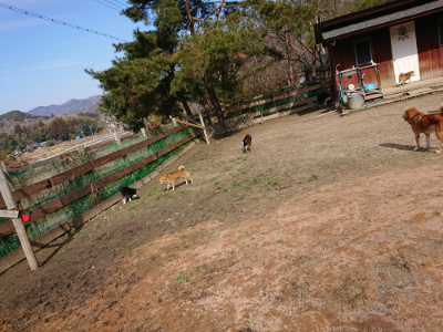 f:id:roukenhome-ann:20190225134951j:plain
