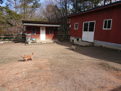 f:id:roukenhome-ann:20190225134956j:plain