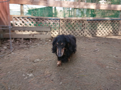 f:id:roukenhome-ann:20190225135018j:plain