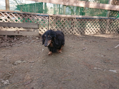 f:id:roukenhome-ann:20190225135041j:plain