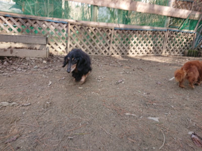 f:id:roukenhome-ann:20190225135106j:plain