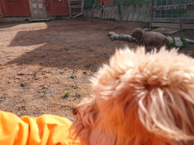 f:id:roukenhome-ann:20190225135549j:plain