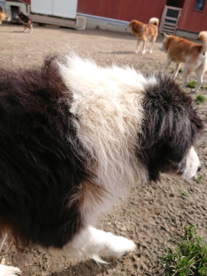 f:id:roukenhome-ann:20190225135756j:plain