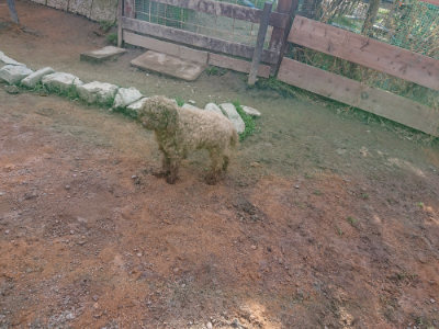 f:id:roukenhome-ann:20190225135841j:plain