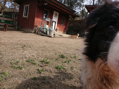 f:id:roukenhome-ann:20190225135846j:plain