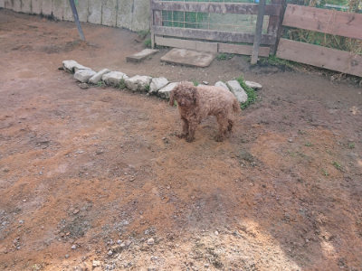 f:id:roukenhome-ann:20190225135907j:plain